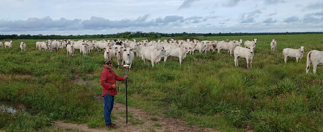 Levantamento em fazenda de gado Nelore
