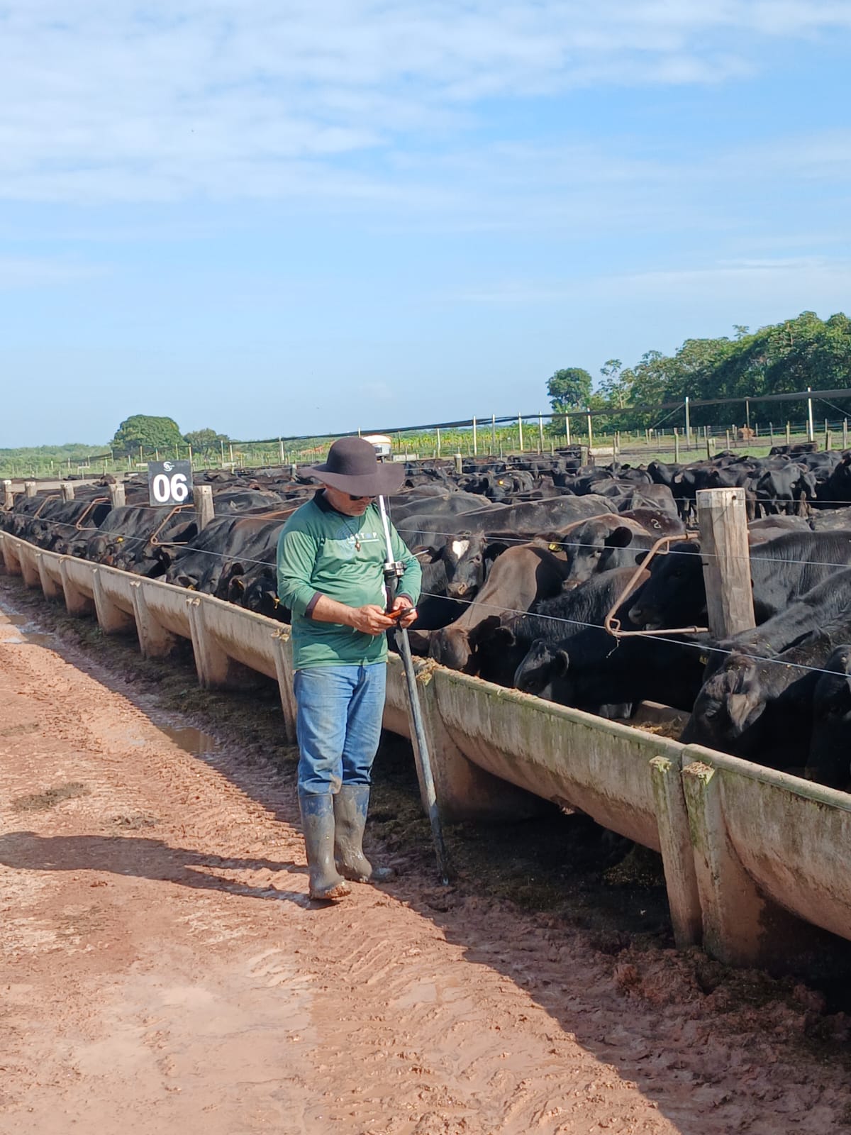 Medição em confinamento bovino